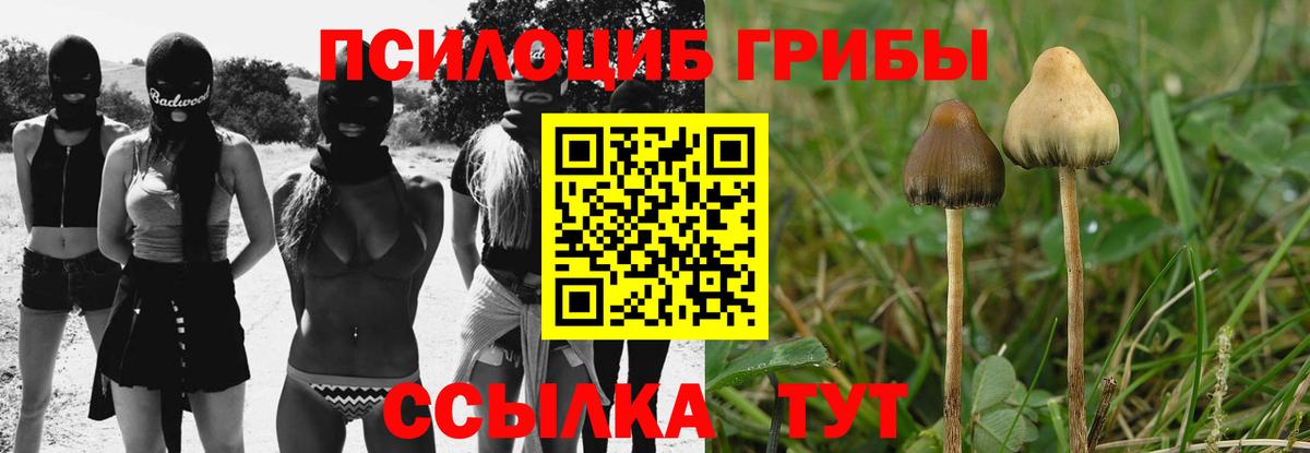 Галлюциногенные грибы MAGIC MUSHROOMS  Вход с VPN  Прокопьевск  Псилоцибиновые грибы MAGIC MUSHROOMS 